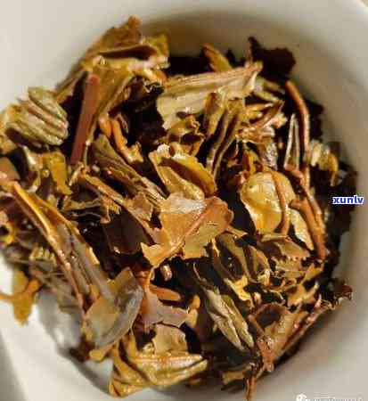 大益普洱茶101批次：品质保证，古树茶韵，醇厚口感，收藏佳品