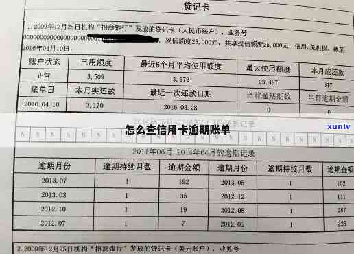 如何查询中国信用卡逾期数据