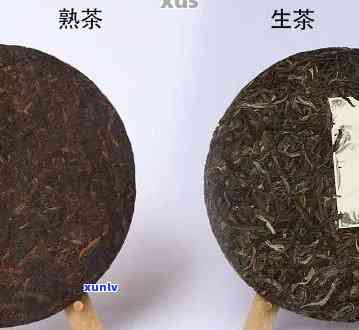 超市卖的普洱茶：生茶还是熟茶？哪一个更好？