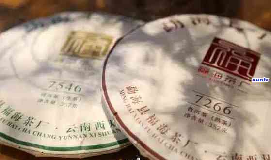 云南特色普洱茶瑰宝：海库一品的魅力与品质