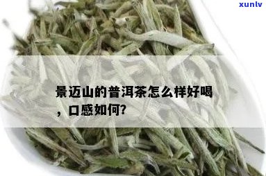 探究景迈山普洱茶口感：好不好喝？