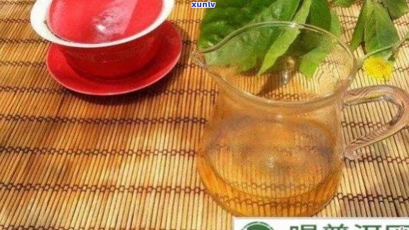 '喝普洱茶对牙齿有伤害吗：女生喝普洱茶的影响及好处'