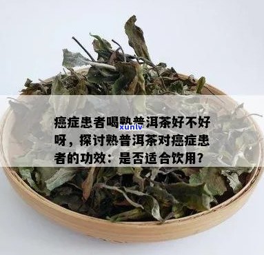 胰腺癌患者是否可以喝白茶？