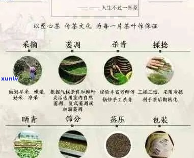 普洱茶的价格因素分析：生茶，品种，产地，年份以及市场行情