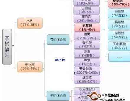 全面解析生普洱茶价格：从购买渠道到品质等级的多元影响因素