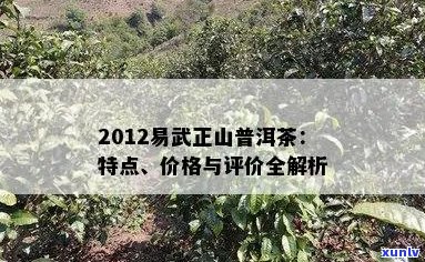 倮倮易武正山普洱茶价格与含义解析