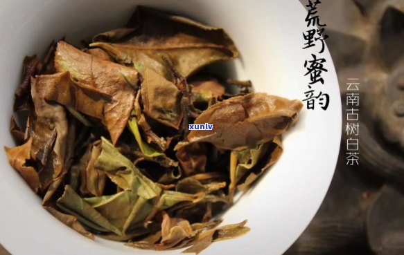 南糯白豪生茶：古树茶香，醇厚口感，高山韵味，珍藏品茗