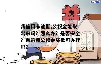 信用卡逾期后如何处理公积金贷款：全面指南与解决方案