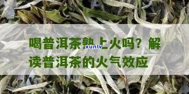 普洱茶喝的上火吗哦