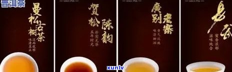 荣瑞祥普洱茶品质如何？值得购买吗？