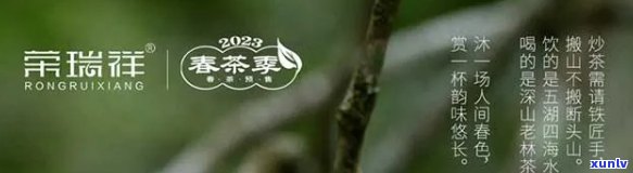 下关普洱茶价格一览表：全面了解各类茶叶的价格及特点