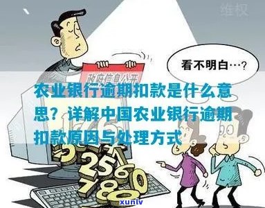 农行逾期扣款原因与处理：手续费退还情况解析