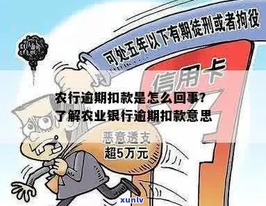 农行逾期扣款原因与处理：手续费退还情况解析