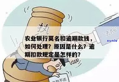 农行逾期扣款原因与处理：手续费退还情况解析