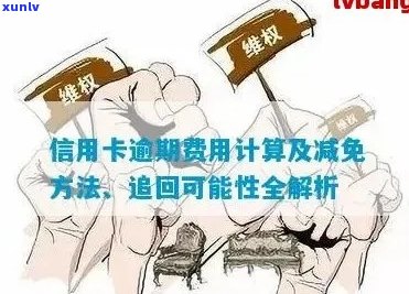 信用卡逾期罚息追回的策略与实践：技术性规定与操作指南