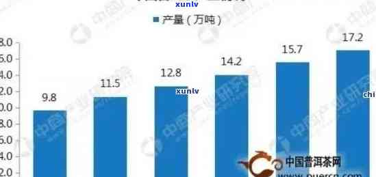 七克普洱茶的价格解析：消费者指南与行业动态