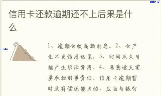 信用卡逾期还款可能产生的后果及应对策略