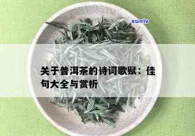 普洱茶与诗词：经典名句深度解读