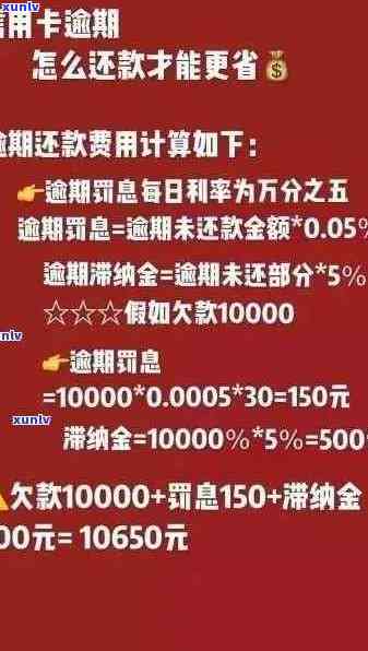 信用卡欠款查询全指南：逾期天数、欠款额度及应对措一应俱全