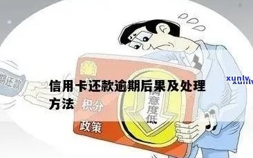 信用卡逾期风险加大：借款人员需警惕还款困扰