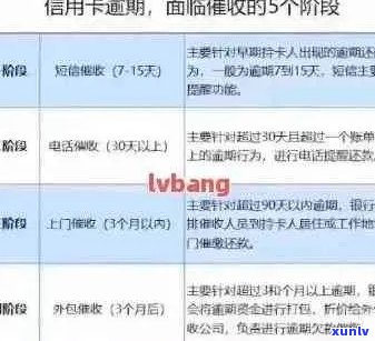 信用卡逾期记录的消除时间：策略、影响及改善建议