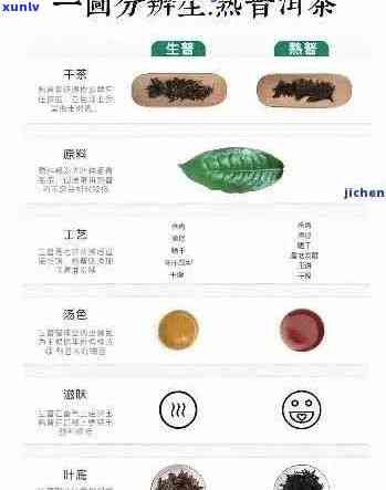 普洱茶叶分级详解：从一级到特级，哪个等级的普洱茶？