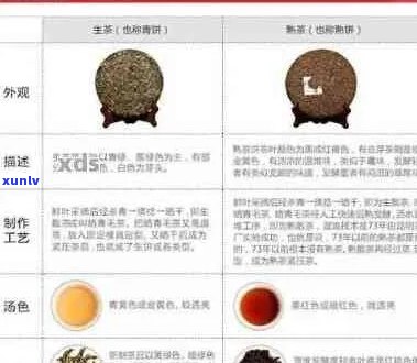 普洱茶叶分级详解：从一级到特级，哪个等级的普洱茶？