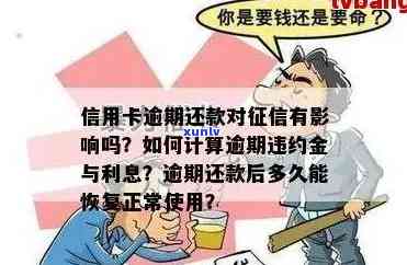 信用卡逾期还款1天对的影响及恢复时间：违约金和利息能否免除？