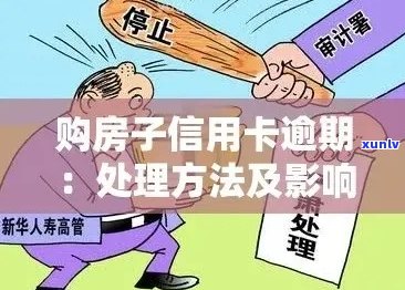 2023年普洱茶价格走势分析及市场解析 - 全面了解普洱茶价格变化及投资指南