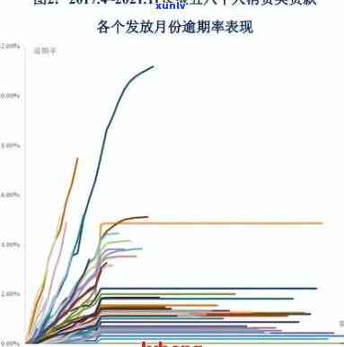 全面解析：可疑类贷款逾期天数的影响、原因与解决方案