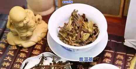 普洱茶中发现小虫子如何处理？如何避免普洱茶受到虫害？