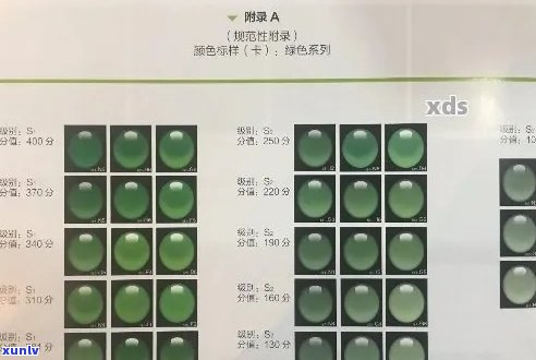 老杨谈论翡翠：从颜色、纹理到鉴别技巧的全方位解析