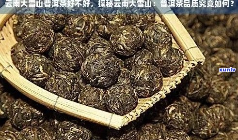 新 '大雪山原生态普洱茶——存号的纯净韵味'