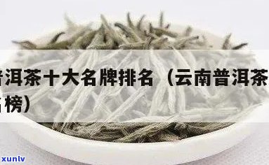 普洱茶十个名牌排名