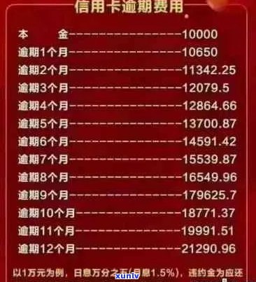 信用卡5万逾期一个月利息计算：应还金额与逾期一年利息解析