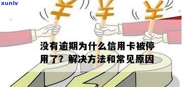 为什么信用卡没有逾期被停了-为什么信用卡没有逾期被停了?