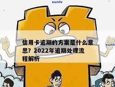 2022年信用卡逾期处理全流程：步骤、影响与解决方案详解