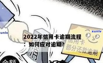 2022年信用卡逾期还款全指南：步骤、影响及解决方案