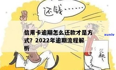 2022年信用卡逾期还款全指南：步骤、影响及解决方案