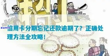 逾期信用卡分期还款全攻略：处理方式与注意事项