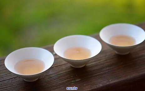 四品尝普洱茶的韵味：一年四，普洱茶的不同风情