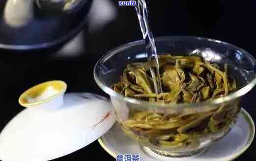 普洱茶煮着好还是泡着好：探讨普洱茶的饮用方式