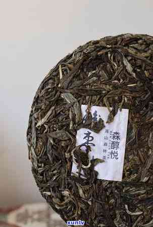 新七年陈普洱茶的品饮体验：醇厚口感与丰富层次的诱惑