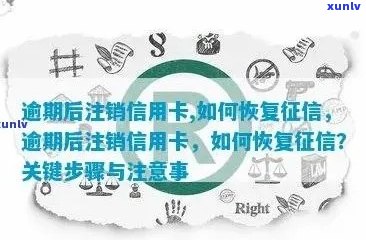 '逾期后信用卡被注销恢复及明细查询操作全解'