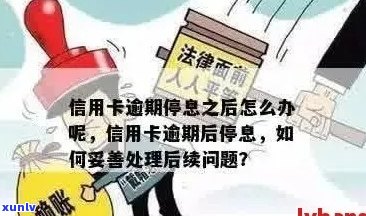 信用卡逾期后的重要处理步骤与建议：我的经历与停卡后的启示