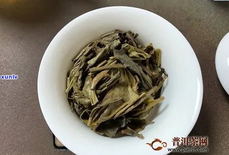 普洱茶大白菜是什么意思：探讨普洱茶中大白菜的特点、由来及意义。