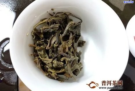 大白菜普洱茶的传奇故事：一跨越千年的茶文化传承