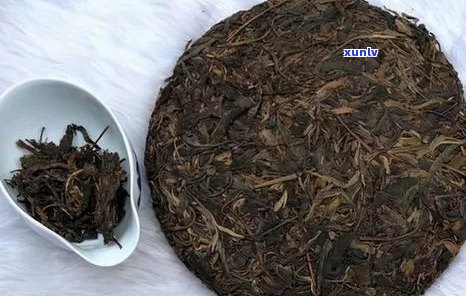 大白菜普洱茶：品种特点、冲泡 *** 与保健功效的全面解析