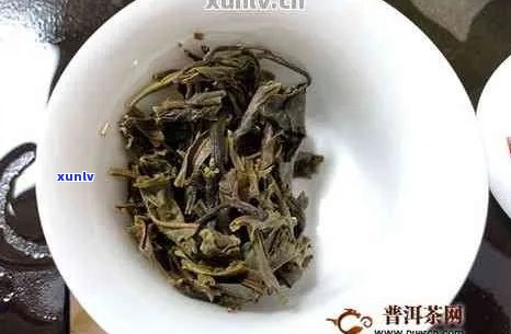 大白菜普洱茶：品种特点、冲泡 *** 与保健功效的全面解析