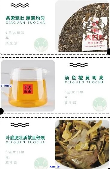 大白菜普洱茶：品种特点、冲泡 *** 与保健功效的全面解析